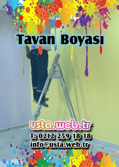 Tavan Boyası