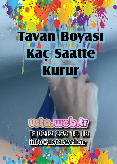 Tavan Boyası kaç saatte kurur